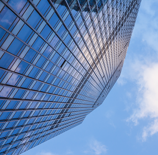 我的网站 我的网站